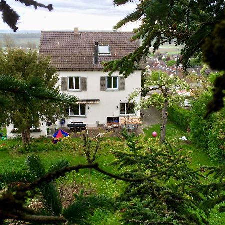 Andelfingen Guntli'S Family Guesthouse מראה חיצוני תמונה