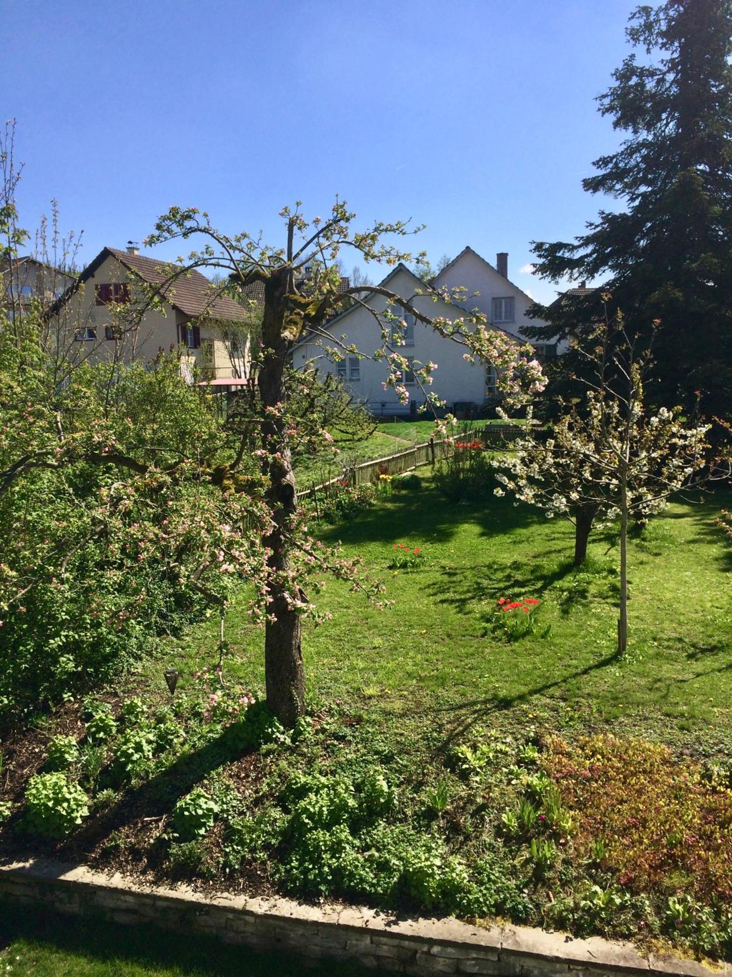 Andelfingen Guntli'S Family Guesthouse מראה חיצוני תמונה