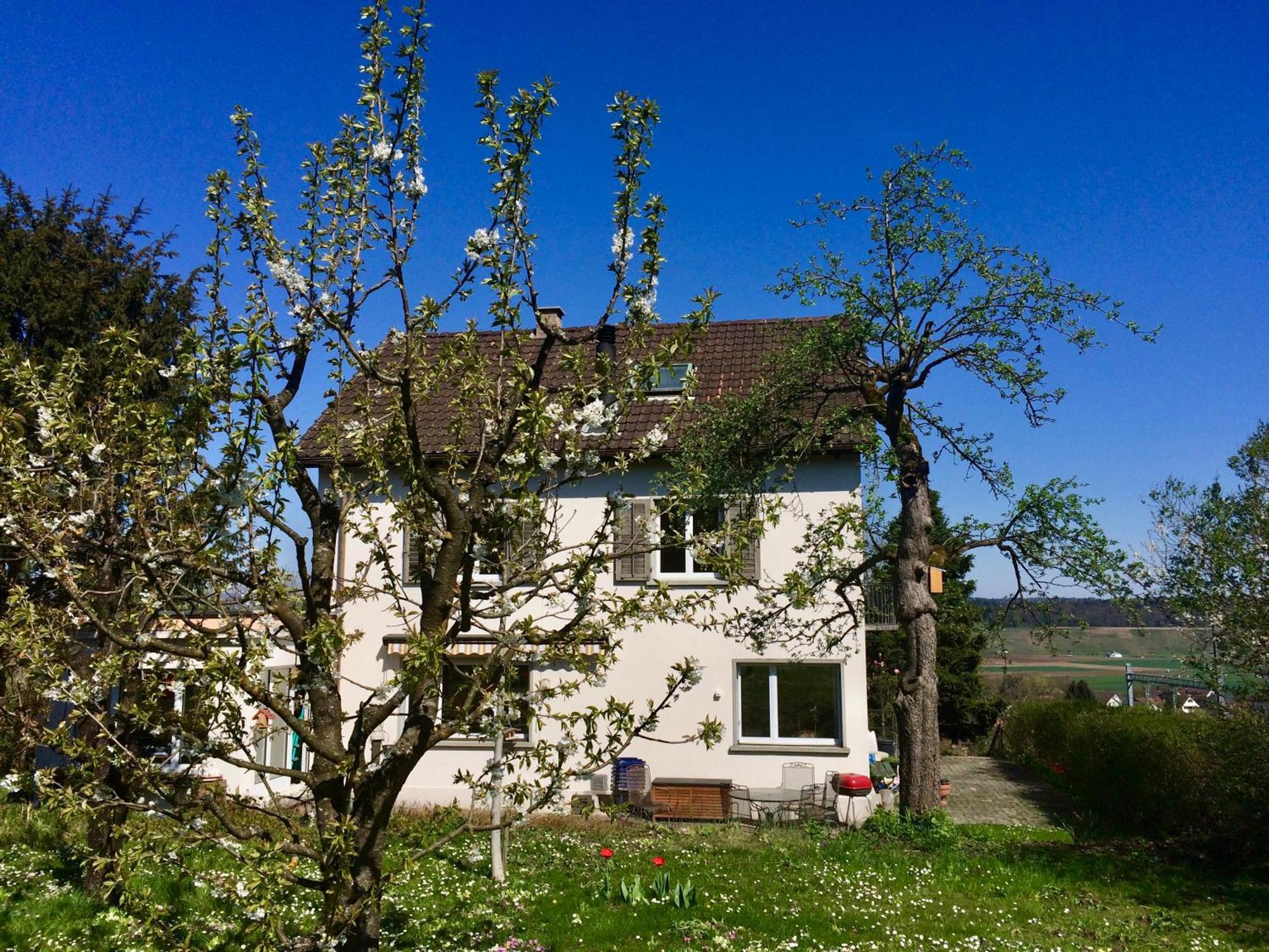 Andelfingen Guntli'S Family Guesthouse מראה חיצוני תמונה