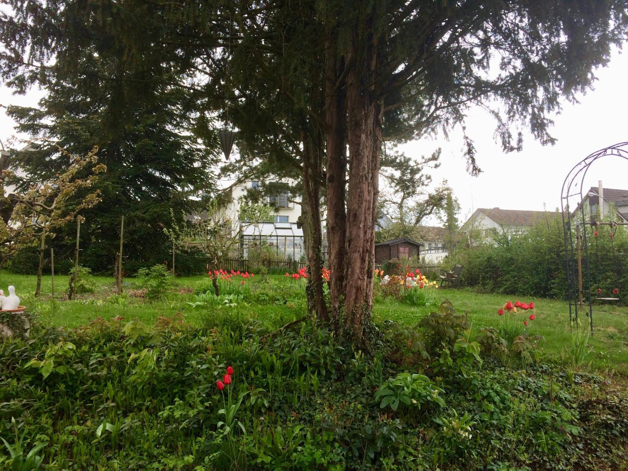Andelfingen Guntli'S Family Guesthouse מראה חיצוני תמונה